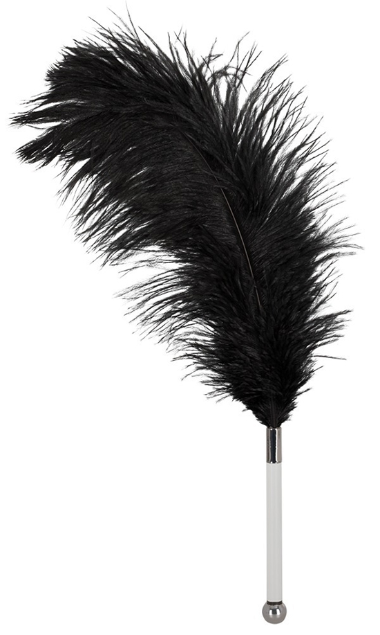 Erotic Feather With Transparent Handle